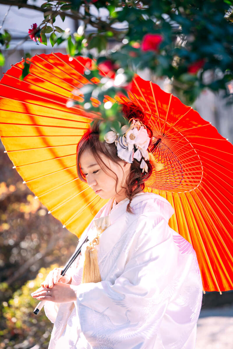 一人ショットも寒椿と一緒に