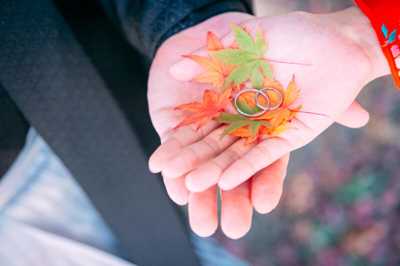 紅葉をさがして