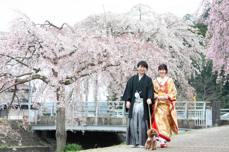 お散歩ショット