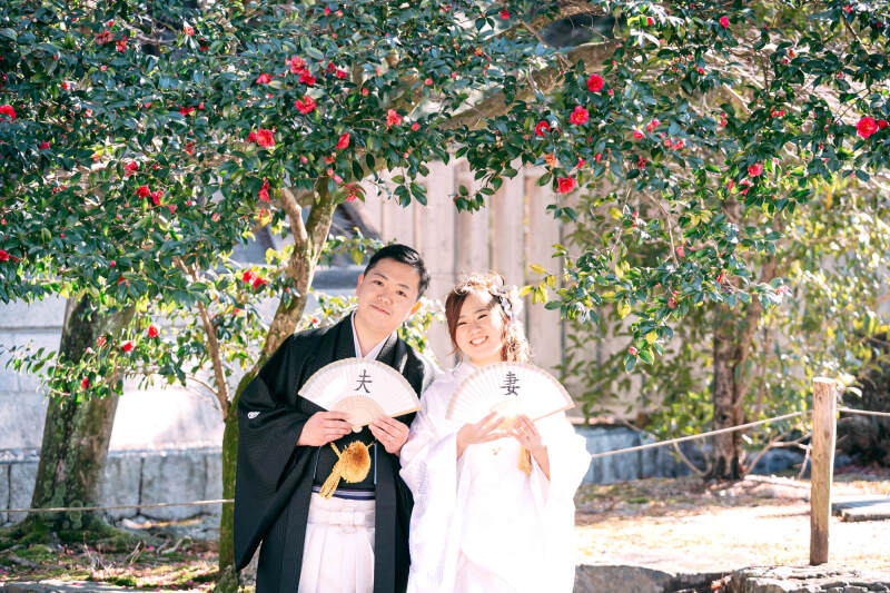 1月は寒椿が見頃!