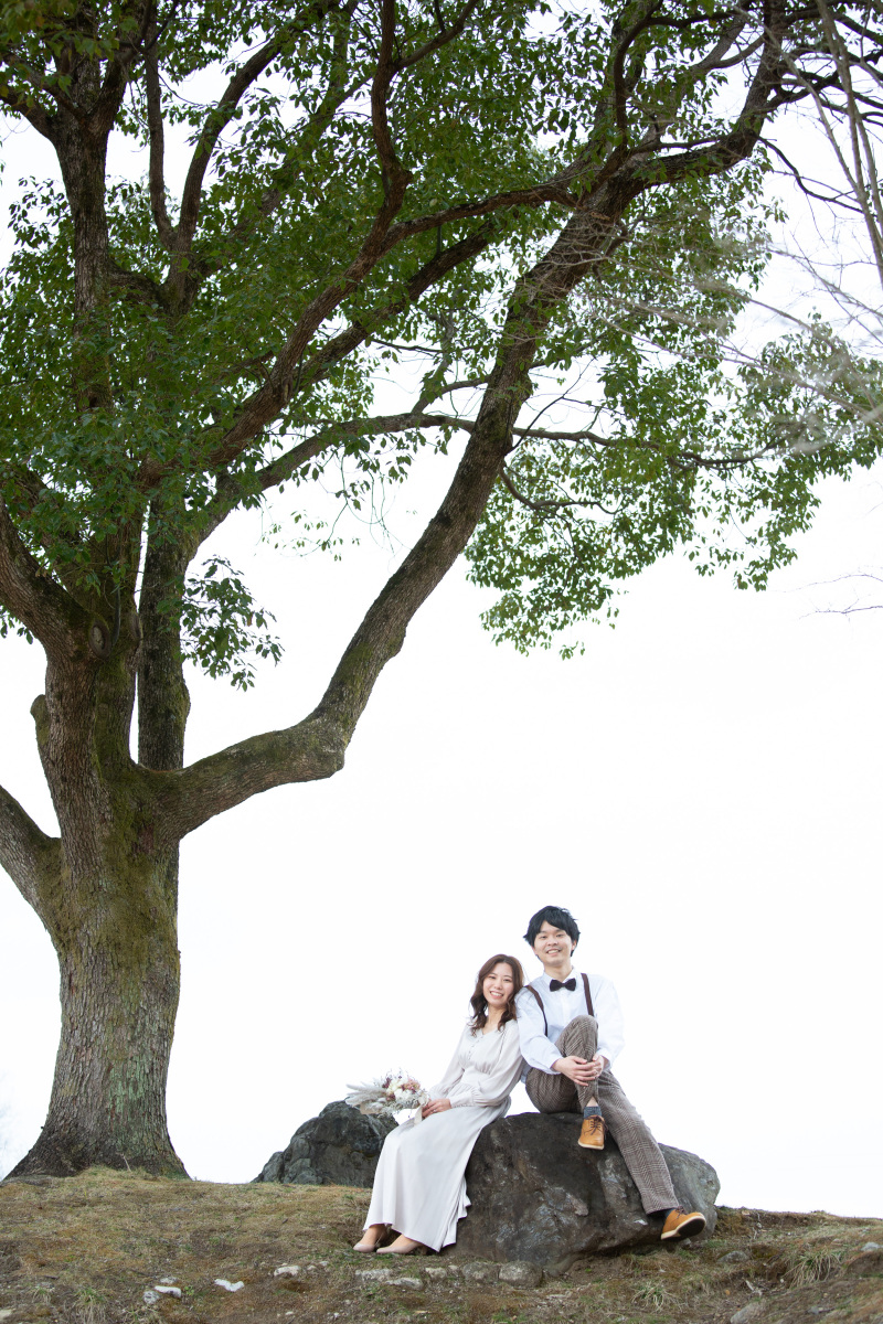 大きな木の下で