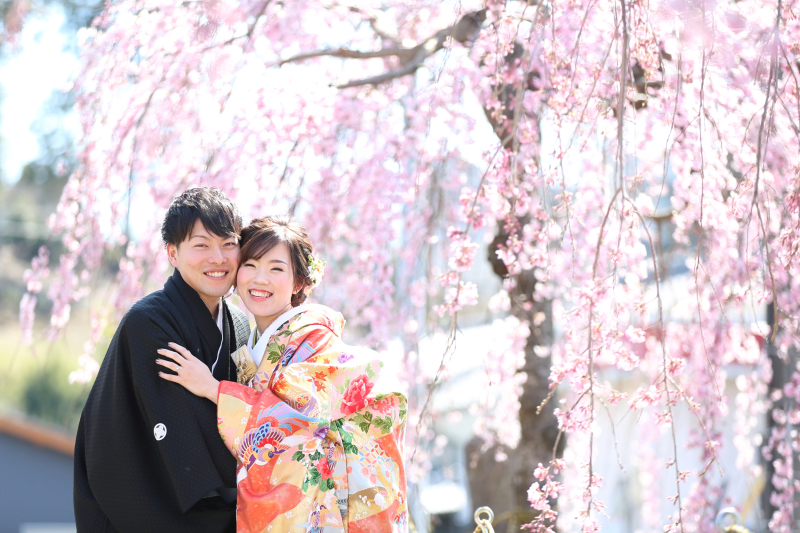 【和装1点】桜と一緒に思い出を!