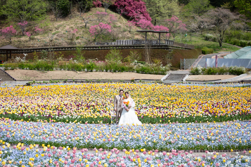 チューリップの大花壇