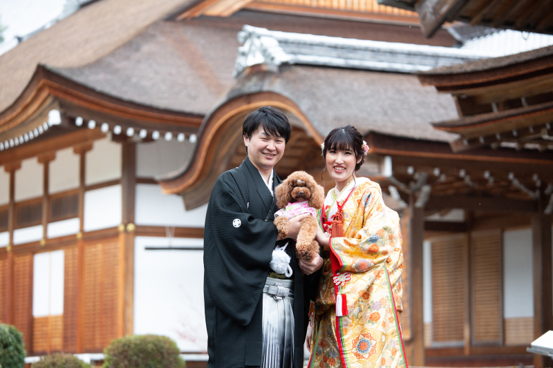 カメラ目線が上手なワンちゃん
