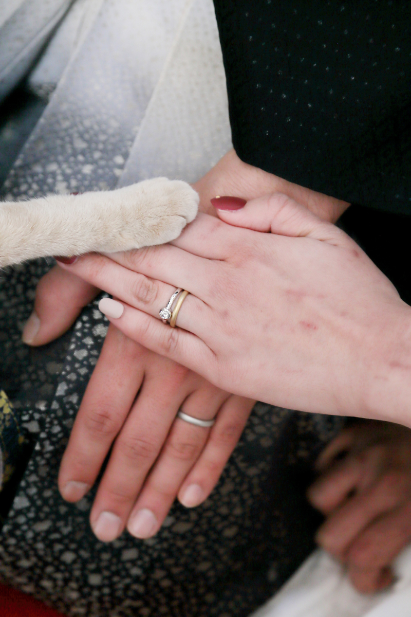 ねこちゃんと一緒のイメージショット