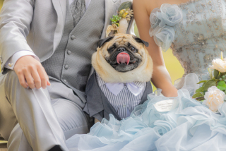 アトリエシュウ_洋装ロケーション撮影