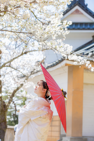 アトリエシュウ_桜photo
