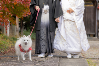 アトリエシュウ_ペットと一緒に