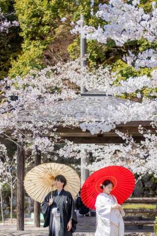 アトリエシュウ_桜photo