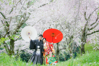 アトリエシュウ_桜photo