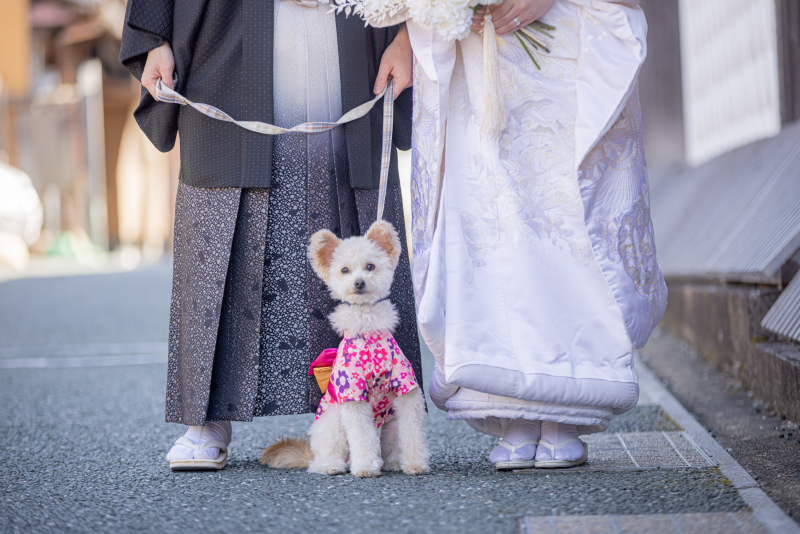 【愛犬と残すロケーション撮影】愛犬と一緒に可愛い和装ロケーションフォトを!\どの衣装も選んでも追加料金なし!/