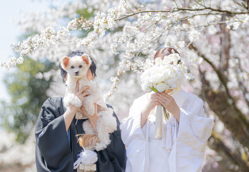 【ペット一緒に！】和装ロケーションプラン