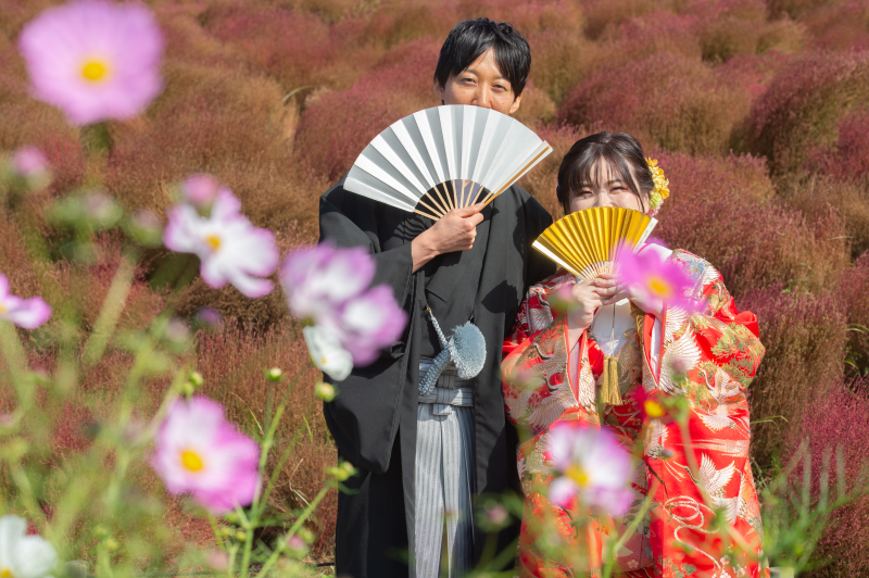 秋の花々に囲まれて。ひたち海浜公園・和装ロケーションプラン