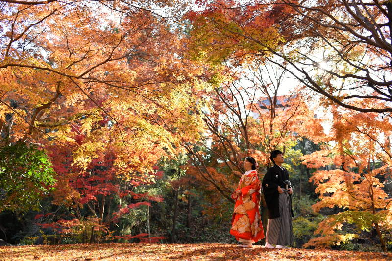 紅葉ロケーション
