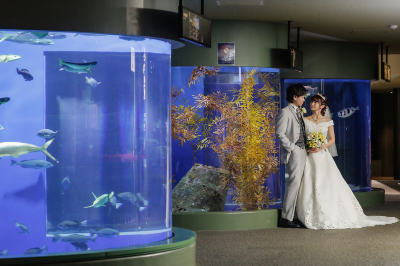 水族館ロケ♪