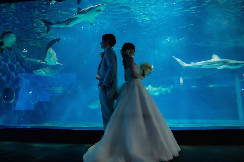 魚たちの祝福？！