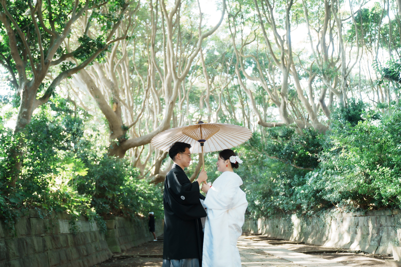 光を纏う森のひととき