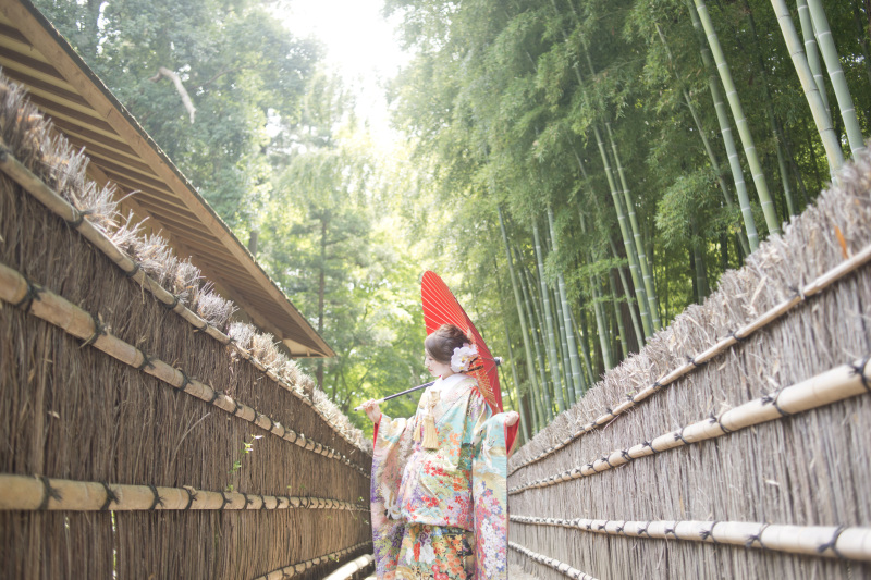 偕楽園おすすめスポット!!
