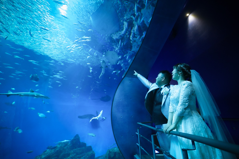 【ロケーションフォト】アクアワールド大洗水族館で叶えるロマンチックウェディング