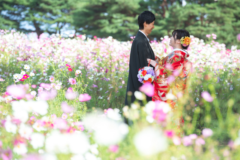 コスモスに囲まれて