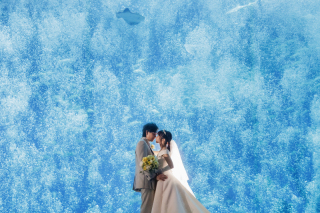 幻想的な海の世界に包まれて♪アクアワールド・大洗で叶える幻想的なフォト♡