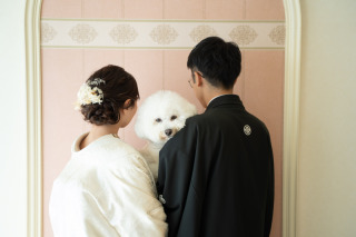 わんちゃんとスタジオ撮影×偕楽園ロケーション！