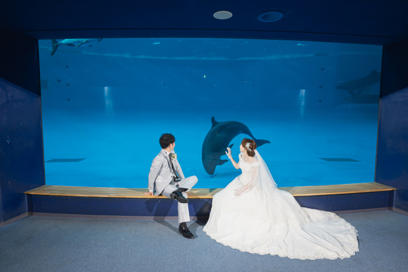 イルカさんとおしゃべり?
