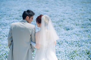 ネモフィラ撮影行ってきました！