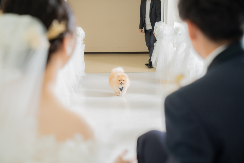 待っててね!全力ダッシュ