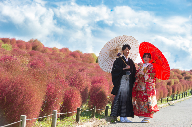 寄り添い歩む秋の道