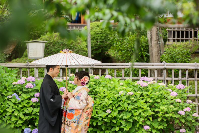 紫陽花と一緒に・:*