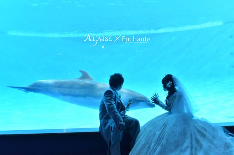 《大人気爆発中!!!水族館ロケーションフォトウェディング》