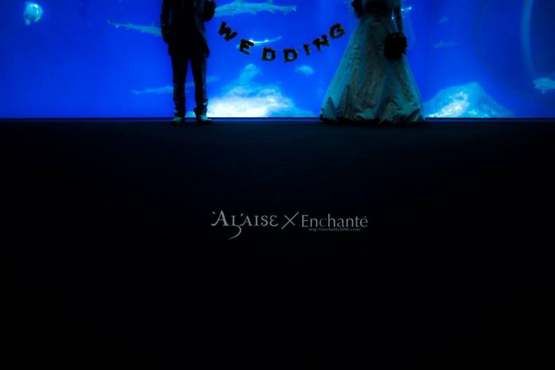 《BLUE×BLACK》