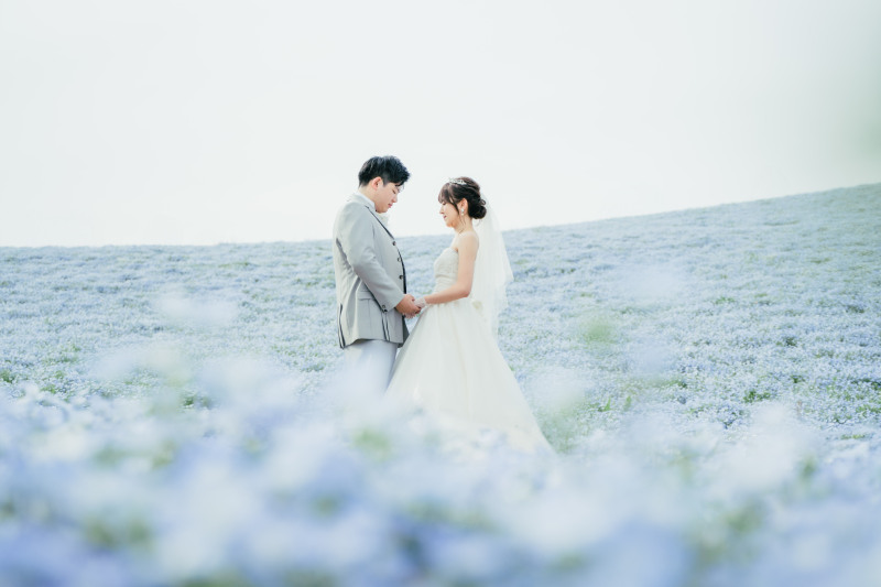 アンシャンテの「花絶景」ネモフィラ♡