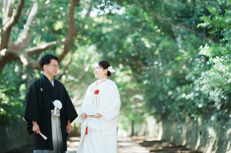 酒列磯前神社のご祈祷と神秘的な樹道を巡る和装フォト