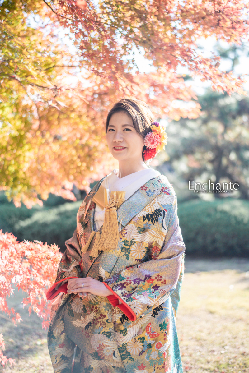 光と紅葉