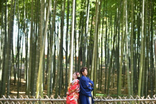 海・偕楽園ロケーション