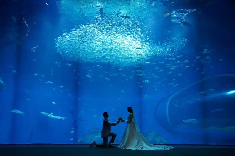 館内&水族館で叶えるフォトウェディング