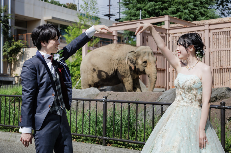 ゾウさんとハッピーショット