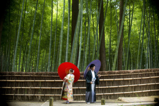 圧倒的"和"世界