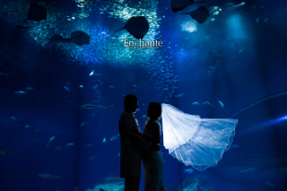 水族館ロケーション