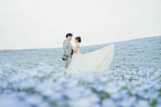 2024★ネモフィラ撮影いってきました！