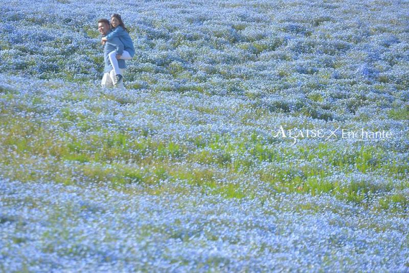 《おんぶ feat. ネモフィラBLUE》