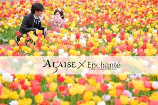 《大人気ロケーション!!!》色彩豊かな海浜公園でフォトウェディング