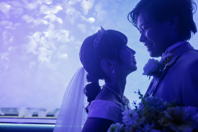 幻想的なクラゲの世界