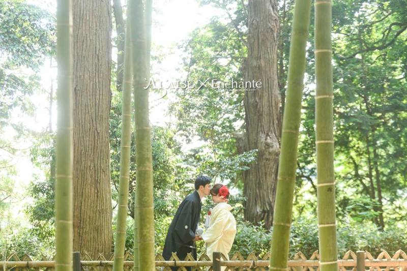 《竹林も人気撮影スポット》