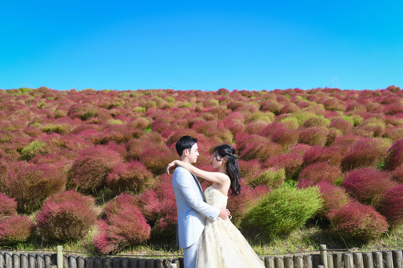 青空に愛を誓って