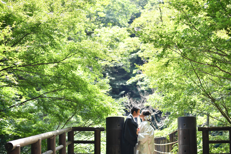吊り橋近くの緑でも...