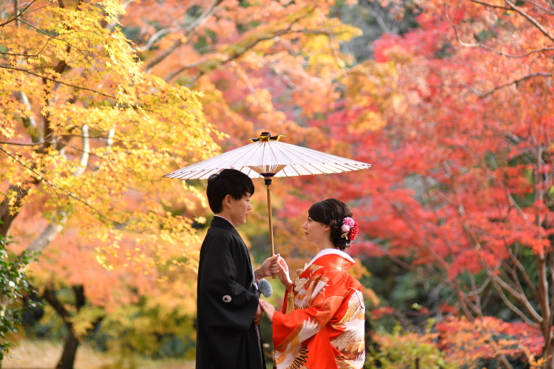 黄・橙・赤のコントラスト