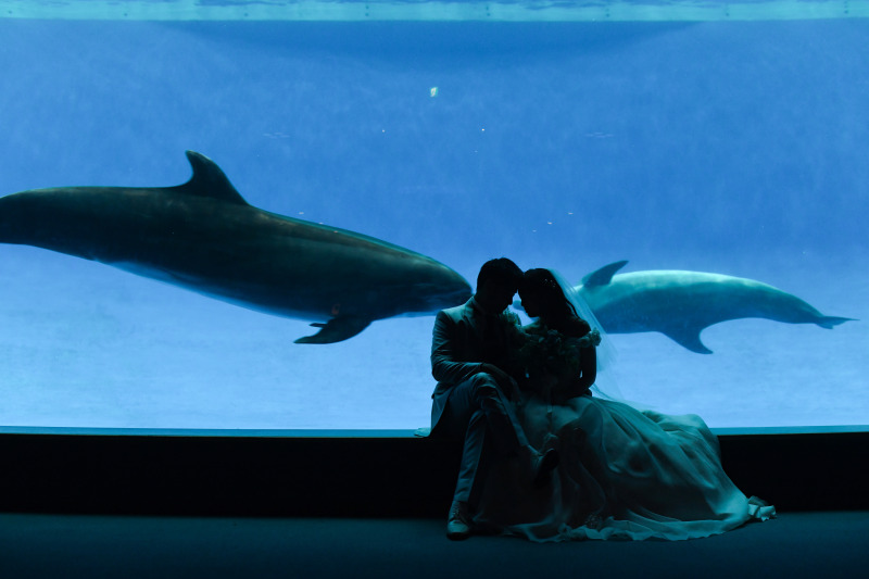 ロマンチックなシルエット